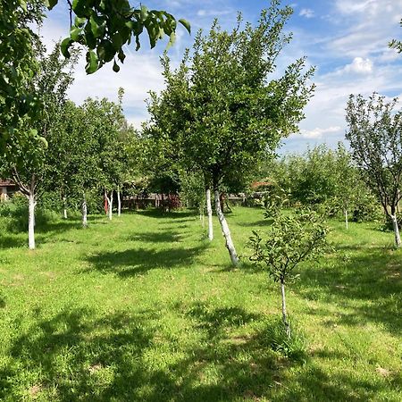 Pensiunea Casa Domnitei Бая де Фиер Екстериор снимка