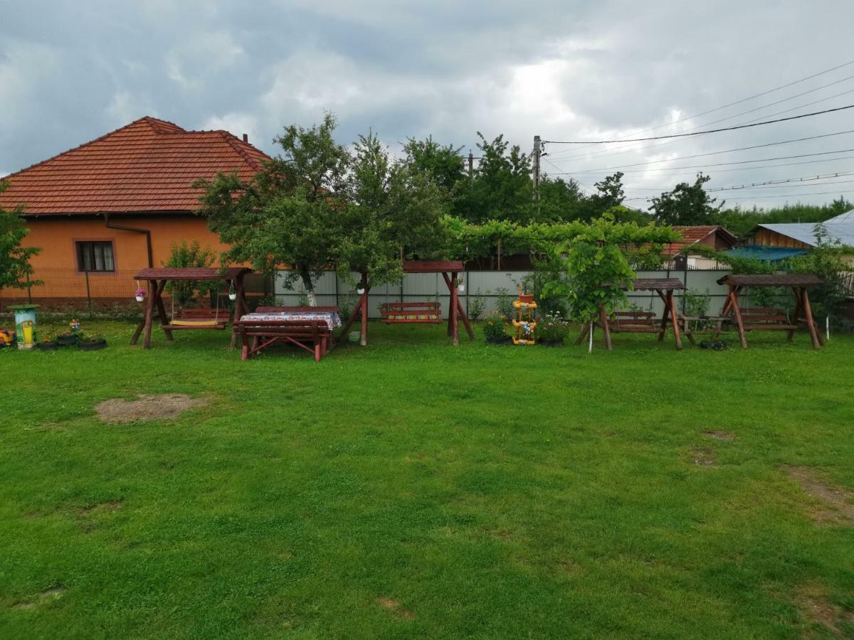 Pensiunea Casa Domnitei Бая де Фиер Екстериор снимка