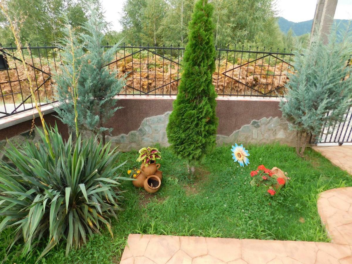 Pensiunea Casa Domnitei Бая де Фиер Екстериор снимка