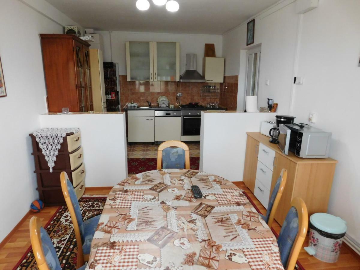 Pensiunea Casa Domnitei Бая де Фиер Екстериор снимка