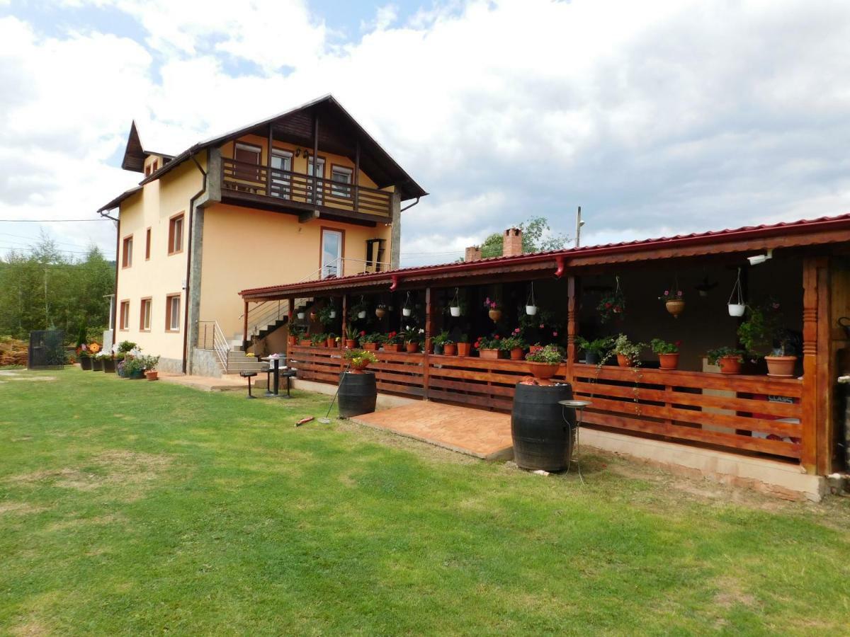 Pensiunea Casa Domnitei Бая де Фиер Екстериор снимка